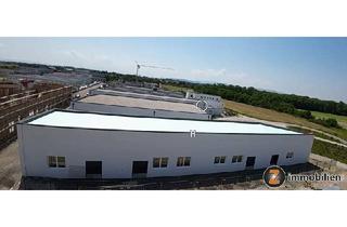 Gewerbeimmobilie kaufen in 2601 Sollenau, Halle-Für Anleger oder Eigennutzung