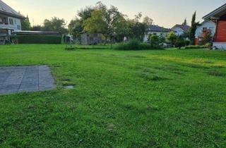 Grundstück zu kaufen in 6974 Gaißau, Herrliches Grundstück für Ihr neues Zuhause!