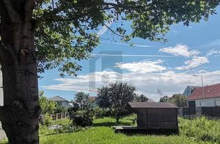 Grundstück zu kaufen in 7083 Purbach am Neusiedler See, TRAUMGRUND FÜR IHR TRAUMHAUS - KEIN BAUZWANG