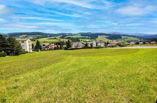 Grundstück zu kaufen in 8742 Obdach, Attraktive Baugründe mit Top-Infrastruktur in Obdach. - Großzügige Bebauungsdichte bis 0,5.