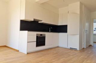 Wohnung mieten in 4222 Sankt Georgen an der Gusen, Coole Mietwohnung "American Style"