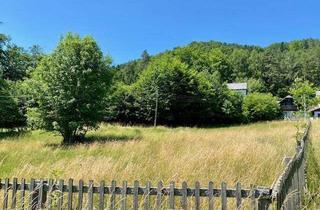 Haus kaufen in 2640 Gasteil, Mehr als 5000m² Grund! Wo sich Fuchs und Hase "gute Nacht" sagen!