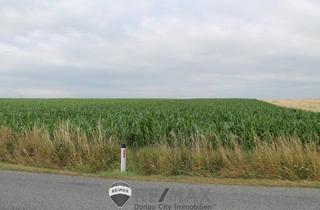 Immobilie kaufen in 2011 Sierndorf, "Landwirte aufgepasst!"