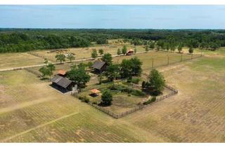 Haus kaufen in 6114 Kolsass, Reitsportanlage in der Bugac-Puszta