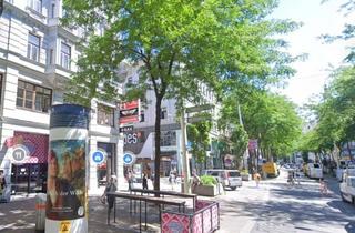 Geschäftslokal mieten in Mariahilfer Straße, 1060 Wien, Stark frequentierter und vollsanierter Gastro oder Geschäftslokal direkt auf der pulsierender Mariahilferstraße – Ihr neuer Erfolg wartet!