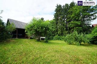 Villen zu kaufen in Bachweg, 8042 Graz, BEGEHRT & GRÜN - IHR TRAUMGRUND ZUM ENTSPANNEN! Natur- und Stadtnähe im traumhaften St. Peter!
