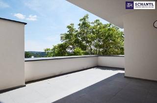 Wohnung mieten in Reiteregg, 8151 Hitzendorf, EINZIGARTIGE 4-Zimmer-Wohnung mit großer Terrasse und zwei Bädern – inmitten der West-Steirischen Weinberge!
