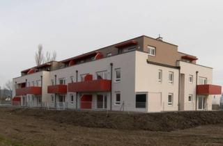 Wohnung mieten in Giglinger Straße 2-6, 2522 Oberwaltersdorf, Modernes Zuhause für junge Erwachsene