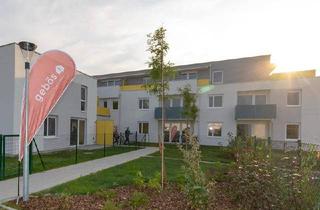 Wohnung mieten in Wiener Straße 62, 3133 Traismauer, BETREUTES WOHNEN: Schöne Gartenwohnung in Traismauer