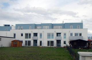 Wohnung mieten in Erlau-Gasse 12, 2441 Mitterndorf an der Fischa, Wunderschöne Wohnung mit südostseitiger Dachterrasse