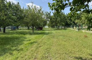 Grundstück zu kaufen in 2421 Kittsee, Bauträgergrundstück in Kittsee – Großflächige Liegenschaft mit Altbestand und Entwicklungspotenzial
