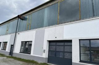 Praxen mieten in 2630 Pottschach, Gewerbehalle in Ternitz, Ortsteil Pottschach, zu vermieten