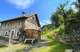 Haus kaufen in Brochendorf (Dornbach), 9853 Malta, Steinhaus (saniert) mit landwirtschaftlicher Fläche in idyllischer Aussichtslage - Scheune und viel Grundstück!