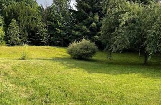 Grundstück zu kaufen in 5071 Wals, Nähe der Saalach - Baugrundstück mit Bestand in Wals-Siezenheim