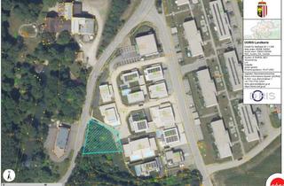 Grundstück zu kaufen in Maiglöckchenweg 9, 4641 Steinhaus, Idyllisches Baugrundstück am Siedlungsrand