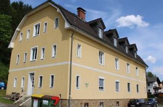Anlageobjekt in Rittisstraße 48, 8670 Krieglach, Renditeobjekt mit 12 Wohneinheiten in 8670 Krieglach