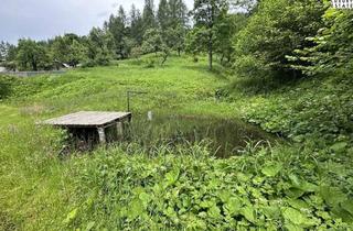 Gewerbeimmobilie kaufen in 9135 Bad Eisenkappel, Südkärnten: Authentisches Gut im Naturparadies
