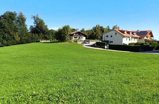 Grundstück zu kaufen in 5201 Seekirchen am Wallersee, Großvolumiges Baugrundstück im Grünen