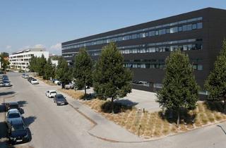 Büro zu mieten in Maria-Theresia-Straße, 4600 Wels, Z_Proj WDZ 7