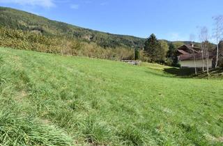 Grundstück zu kaufen in Gmünd In Kärnten, 9853 Fischertratten, Ruhig gelegener Baugrund auf der Sonnenseite des Maltatals