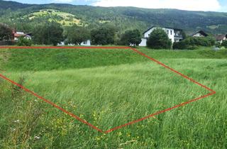 Grundstück zu kaufen in Gmünd In Kärnten, 9854 Malta, Baugrund in sonniger Aussichtslage nahe Ortskern
