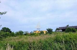 Grundstück zu kaufen in 4611 Buchkirchen, Traumhaftes Baugrundstück in Buchkirchen - 1.340 m² für Ihr Eigenheim oder als Bauträgerprojekt!