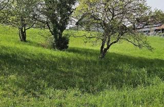 Grundstück zu kaufen in 8112 Gratwein, RUHELAGE 15 Min von Graz - großzügiges, sonniges, Grundstück in leichter Hanglage (teilbar)