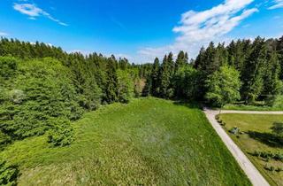 Grundstück zu kaufen in 9063 Kading, Traumhafter Grund in idyllischer Lage - ideal zur Errichtung eines Eigenheims - rd. 6000 m² Grund mit Punktwidmung in Maria Saal, Kärnten