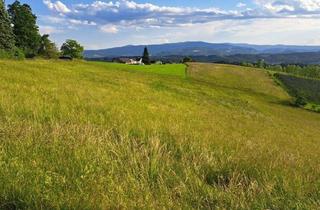 Lager kaufen in Graz, 8113 Sankt Bartholomä, Pferdeliebhaber aufgepasst: Top-Landwirtschaft in herrlicher Lage Nähe Graz