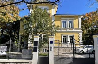 Büro zu mieten in Ca. 1 Km Vom Zentrum Steyr Entfernt, 4400 Steyr, Ordination/Büro - Steyr Gerichtsnähe