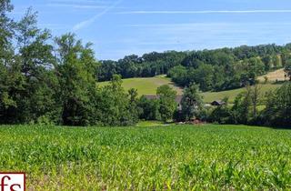 Grundstück zu kaufen in 4612 Scharten, Landwirtschaftlicher Grund in sehr guter Lage - 17 € pro m²
