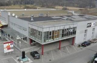 Gewerbeimmobilie kaufen in 6842 Koblach, Diskothek in Koblach