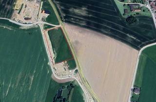 Grundstück zu kaufen in Alberndorfer Straße, 4211 Alberndorf in der Riedmark, Betriebsbaugrund in Spattendorf bei Alberndorf zu verkaufen