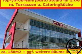 Büro zu mieten in Wettmannstätten, Preding, 8521 Schönaich, Wettmannstätten: Traum-Großraumbüro / (Yoga)-Studio / Praxis mit Cateringküche und 2 große Terrassen