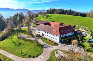 Bauernhäuser zu kaufen in 4554 Oberschlierbach, TRAUM-Bauernhof in PREMIUM-LAGE über der Nebelgrenze! Freiheit pur!