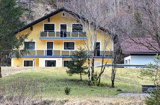 Haus kaufen in 4572 Tambergau, AlleinlageTraum auf über 5000m2 mit eigenem Flusszugang in Hinterstoder