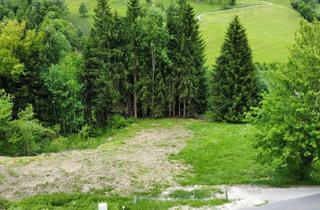 Grundstück zu kaufen in 4801 Traunkirchen, Traumhaftes Baugrundstück in Traunkirchen: 1518 m² für Ihr Eigenheim!