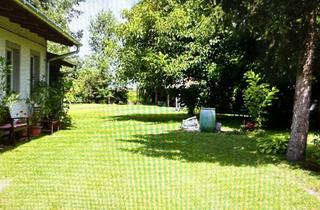 Villen zu kaufen in Palaton, 8471 Spielfeld, Ungarisches Landhaus-Idyll: Charmantes 3-Zimmer-Haus mit Garten, Terrasse, Garage und viel Platz für 159.800,00 €!