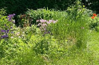 Garagen kaufen in 4470 Enns, Gemütlicher Schrebergarten inkl. toller Gartenhütte zu MIETE/KAUFEN