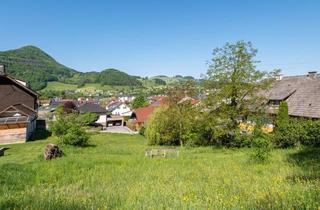 Grundstück zu kaufen in 4452 Ternberg, TERNBERG: traumhaftes Baugrundstück, 15 Autominuten von Steyr entfernt!