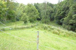 Haus kaufen in 8302 Nestelbach bei Graz, Wohnhaus mit kleiner Hobbylandwirtschaft mit 36.550 m² nahe Graz