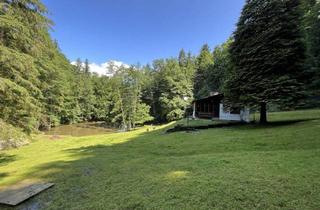 Haus kaufen in 8302 Nestelbach bei Graz, Wohnhaus mit kleiner Hobbylandwirtschaft mit 36.550 m² nahe Graz