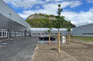 Lager mieten in 8700 Leoben, Lagerflächen - ca. 4200m² - in neuen Industriehallen direkt bei der Abfahrt Leoben West