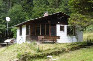 Immobilie kaufen in 8302 Nestelbach bei Graz, Kleine Hobbylandwirtschaft mit 36.550 m² nahe Graz