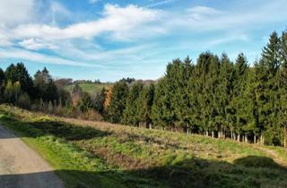 Grundstück zu kaufen in 8301 Kainbach, Tolles Grundstück in absoluter Ruhelage zu verkaufen!