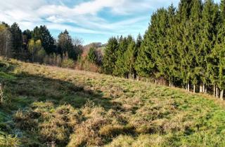 Grundstück zu kaufen in 8301 Kainbach, Top Preis-Leistung! Baugrund am Stadtrand zu verkaufen!
