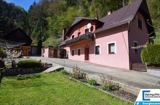 Haus kaufen in Grein An Der Donau, Ybbs An Der Donau, 3691 Nöchling, Großzügiges, kernsaniertes Wohnhaus mit 157m² WFL, 1234m² Grund und 3-fach Carport