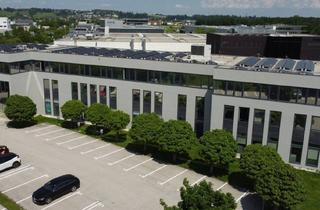 Garagen mieten in 4400 Steyr, BÜROFLÄCHEN / STEYR / NEBEN B309 / TOP 9 / PROVISIONSFREI