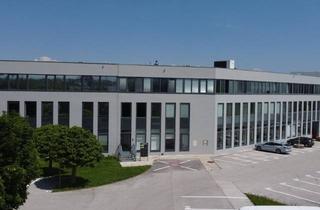 Garagen mieten in 4400 Steyr, BÜROFLÄCHEN / STEYR / NEBEN B309 / TOP 4 / PROVISIONSFREI