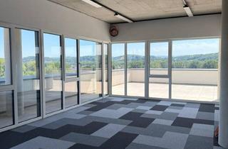 Büro zu mieten in 8430 Leibnitz, Moderne Erstbezugs Gewerbe - und Büroflächen! Flächen teilbar!